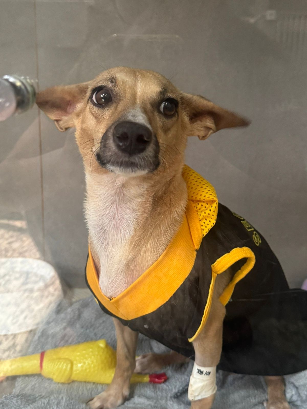 Foto de Esperança