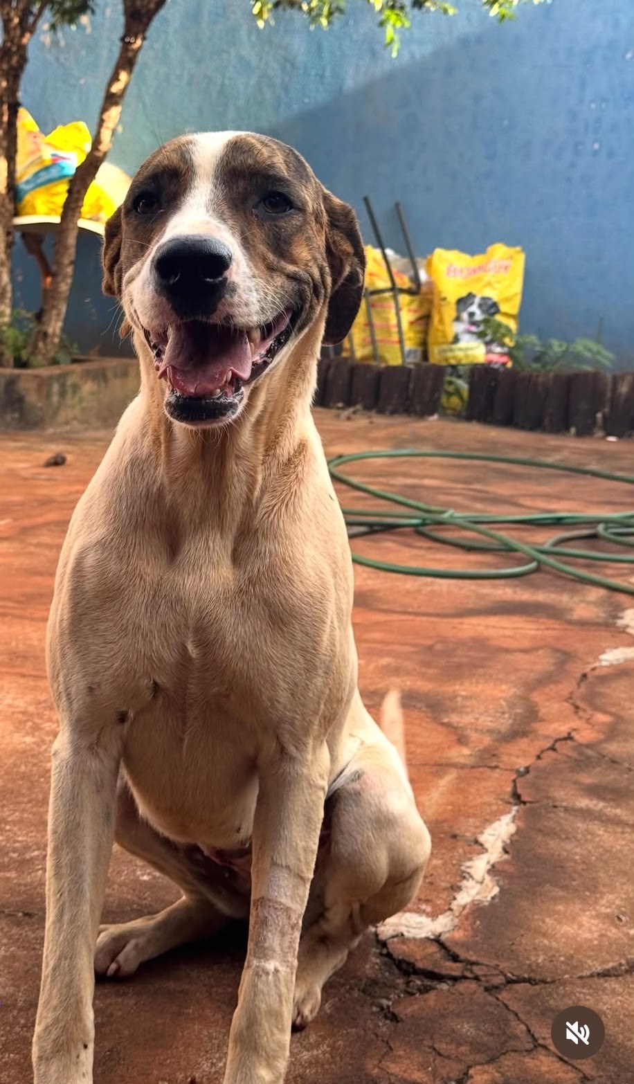 Foto de Valéria