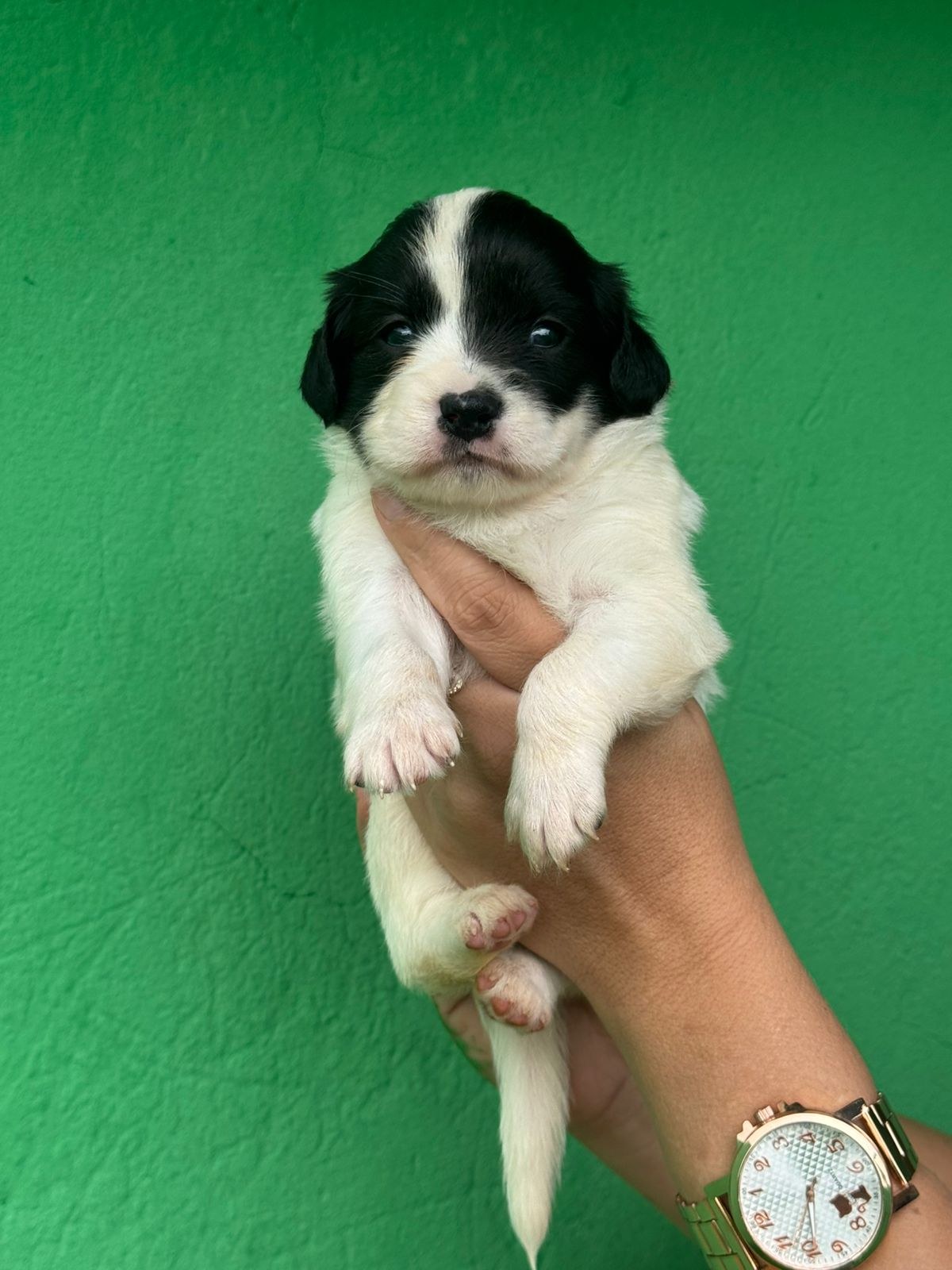 Foto de Mili