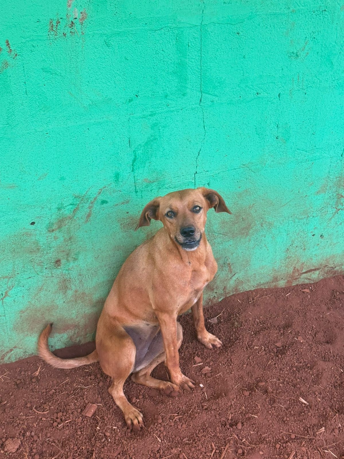 Foto de Maria