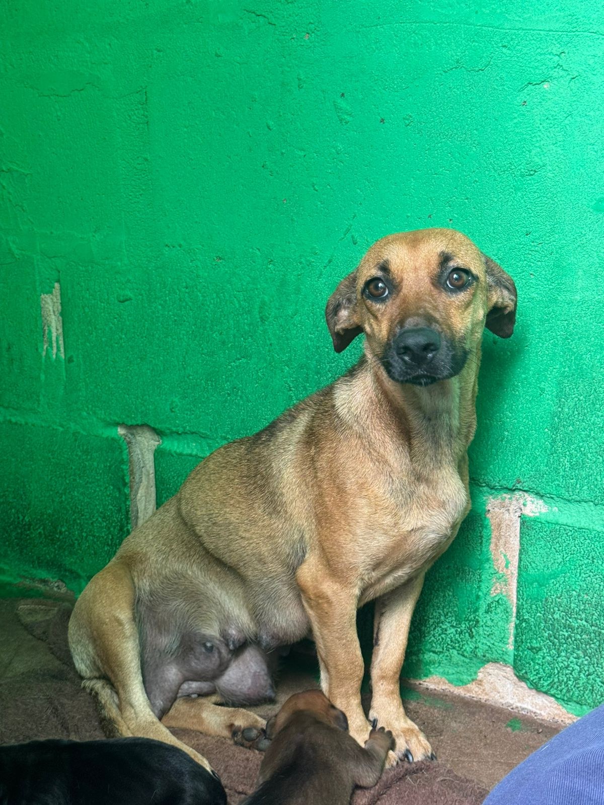 Foto de Serena