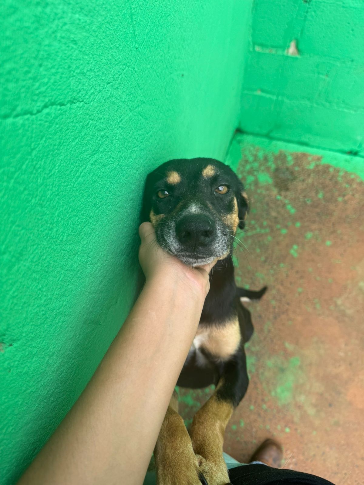 Foto principal de BBB