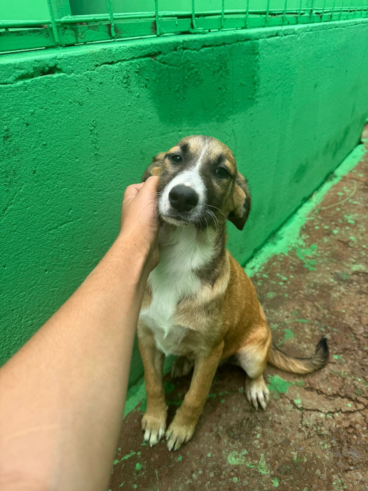 Foto de Carmen