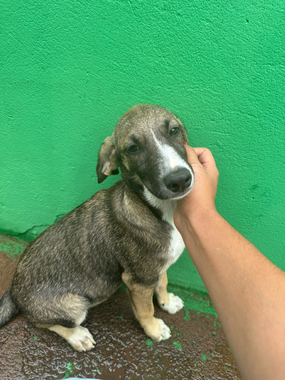 Foto de Helena