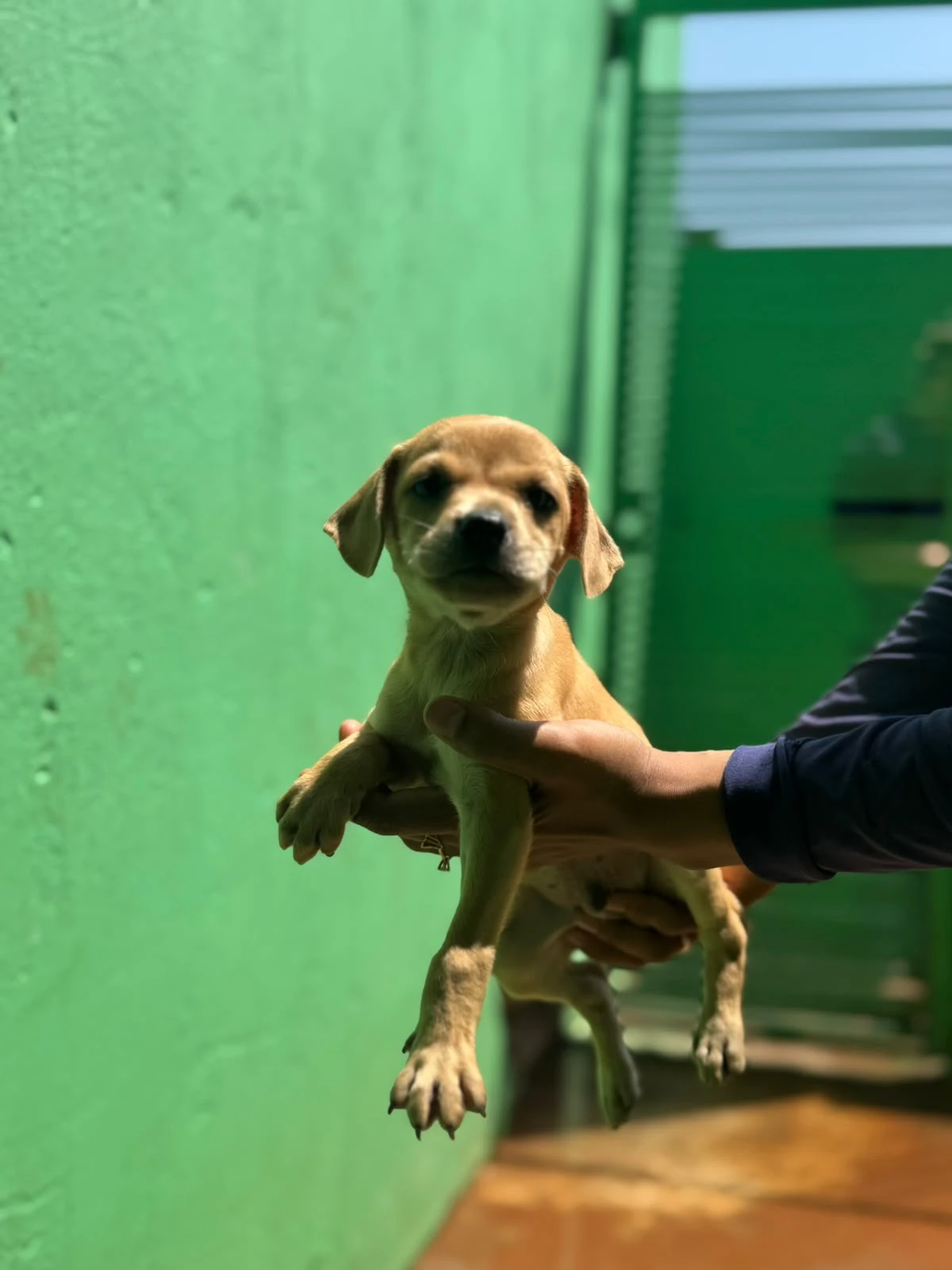 Foto principal de Herança